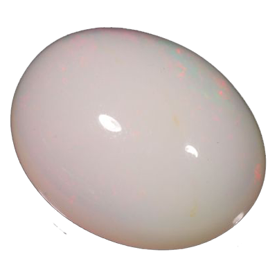 White Coral
